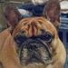 Profile Picture of Paula Lucier (@glenbenrox28) on Pinterest