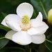 Profile Picture of Lynne Nance (@coolnurse4u) on Pinterest