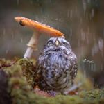 Profile Picture of Kevin Morash (@fgd_thinktank) on Instagram