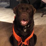 god_dammit_larry - Instagram Profile Picture of god_dammit_larry (@god_dammit_larry) on Instagram