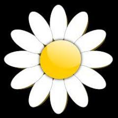 Profile Picture of Daisy Dead (@MMTortuga) on Twitter