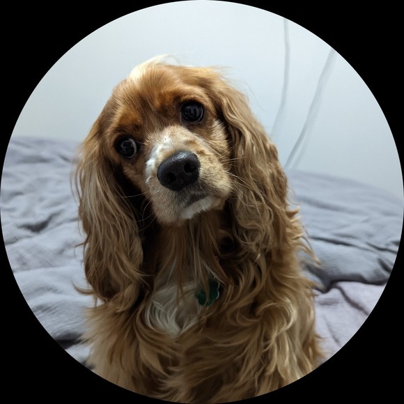 Profile Picture of Beckie Cossum (@generationjones) on Poshmark