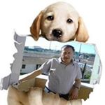 Profile Picture of Joseph Cucchiara (@cucchiarajoseph) on Instagram