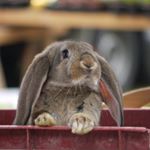 Michael Taylor - Instagram Profile Picture of Michael Taylor (@bezrukovikohen) on Instagram