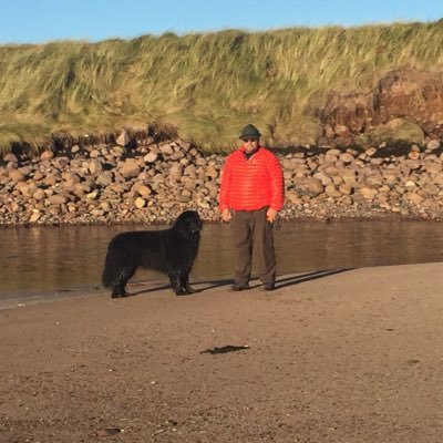 Profile Picture of Dave Monro (@bhud194) on Twitter