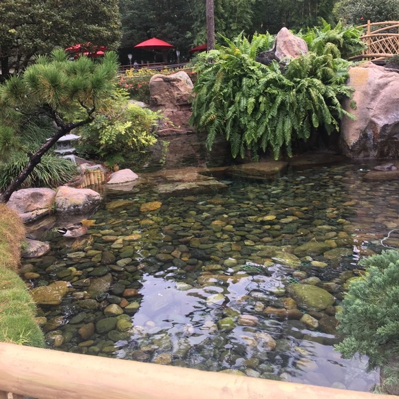 Bruce Nicklow - Poshmark Profile Picture of Bruce Nicklow (@aquabow12) on Poshmark