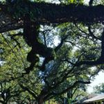 Profile Picture of Brian Campbell (@brian.campbell.chef) on Instagram