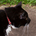 Profile Picture of Kami Boyd (@kami-san) on Flickr