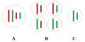 Profile Picture of Gene - Wikipediaon Wikipedia