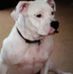Profile Picture of Eugene Shultz (@eugene.shultz.961) on Facebook