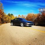 Profile Picture of Tyler Anderson (@tylersaurus_rex1131) on Instagram