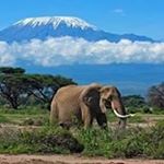 Profile Picture of Janeth Rashid (@janeth.rashid.54) on Instagram