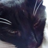 Profile Picture of Tom mcnulty (@@tommcnulty4) on Tiktok
