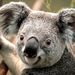 Profile Picture of Douglas Spader (@douglasspader) on Pinterest