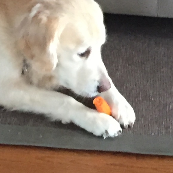 Profile Picture of Kim Feygin (@kfeygin) on Poshmark