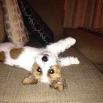 Profile Picture of John Mackay (@john_mackay1) on Instagram