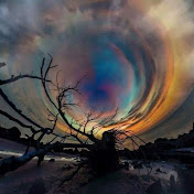 Profile Picture of Lori Fowler (@lorifowler7213) on Youtube