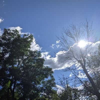 Profile Picture of Benjamin Portillo (@Benjami33126946) on Twitter