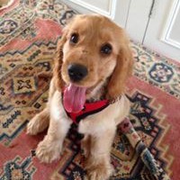Profile Picture of Steven Rodrigues (@steven-rodrigues-9) on Quora