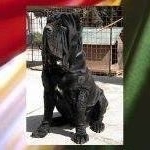 Eric Gobert - Instagram Profile Picture of Eric Gobert (@goberteric) on Instagram