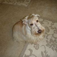 Profile Picture of Diane Dennis (@diane-dennis-17) on Quora