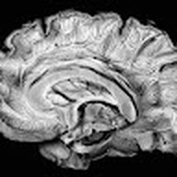 Profile Picture of Paul Otteson (@paul-otteson-3) on Quora
