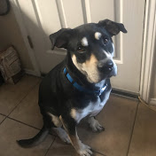 Profile Picture of Christopher Bishop (@christopherbishop8135) on Youtube