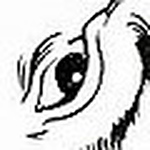 Profile Picture of Emily Craven (@slikinkstudios) on Flickr