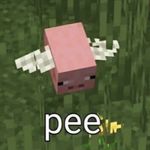 Profile Picture of notkelsey (@kelsey_is_chill) on Instagram