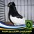 Profile Picture of Prançe Adam (@prance.adam.56) on Facebook