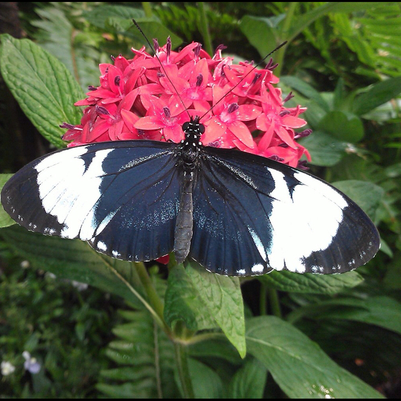 Profile Picture of Britt Delhotal (@beinamom4life) on Poshmark