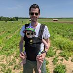 Profile Picture of Daniel Daunis (@midsummerknightsmove) on Instagram