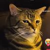 Profile Picture of Manuel Bruno (@@mannygbruno) on Tiktok
