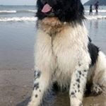 Profile Picture of David Pugh (@mrdpugh) on Instagram