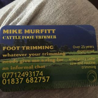 Profile Picture of Michael Murfitt (@mjmurfitt) on Facebook