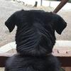 Profile Picture of Joanne Stanford (@@jomama203) on Tiktok
