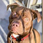 derick patel - Instagram Profile Picture of derick patel (@damnderickk) on Instagram