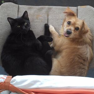 Profile Picture of Jose Nater (@imyourmrhotstuff) on Myspace