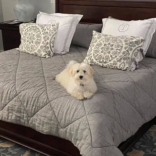 Profile Picture of Eugene Trammell (@eugene.trammell) on Facebook