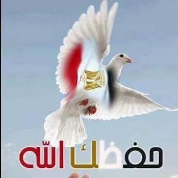 Profile Picture of Mohamed Eldeib (@eldeib123456) on Twitter