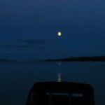 Profile Picture of Pat Eady (@mpeady) on Instagram