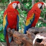 Profile Picture of ANITZA EUNISE BARRIOS MORALES (@anitzaeunisebarriosmorales) on Instagram