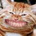 Profile Picture of Max Bernhardt (@max.bernhardt.716) on Facebook