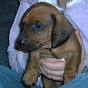 Profile Picture of Sheri Dewitt Armstrong (@sherile) on Myspace