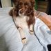 Profile Picture of Deb Barney (@deb.barney.54) on Facebook