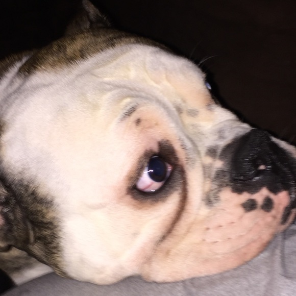 Profile Picture of James Davila (@tdiaz25) on Poshmark