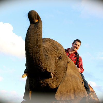 Profile Picture of Mark Mortimer (@MarkMortimer19) on Twitter