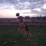 Profile Picture of Ричард Шавель (@_rich_dog_) on Instagram