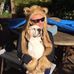 Profile Picture of Chris Plato (@chris.plato.71) on Facebook