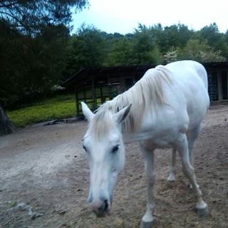 Profile Picture of Hannah Blakeney (@hannah.blakeney.71) on Facebook